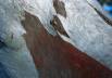 BlackMt_Red_Gumtree3.jpg